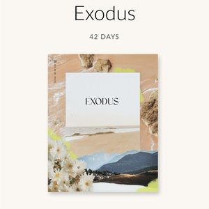 She Reads Truth Exodus Book Study